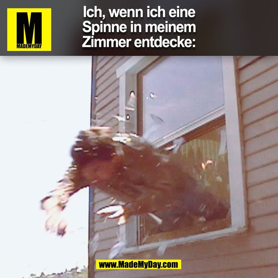 Ich, wenn ich eine<br />
Spinne in meinem<br />
Zimmer entdecke:<br />
(BILD)