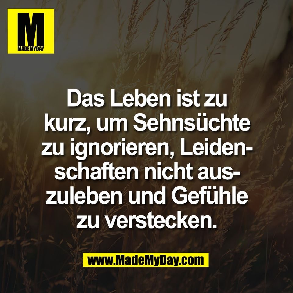 Das Leben ist zu<br />
kurz, um Sehnsüchte<br />
zu ignorieren, Leiden-<br />
schaften nicht aus-<br />
zuleben und Gefühle<br />
zu verstecken.