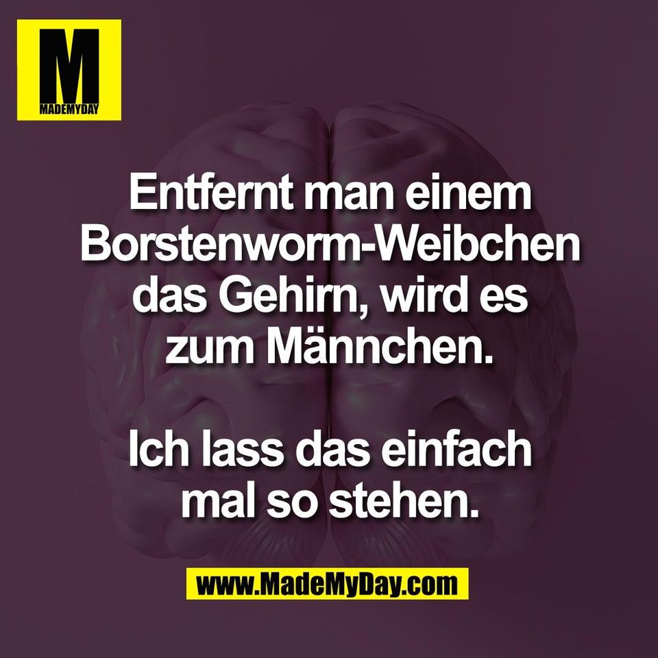 Entfernt man einem<br />
Borstenworm-Weibchen<br />
das Gehirn, wird es<br />
zum Männchen.<br />
<br />
Ich lass das einfach<br />
mal so stehen.