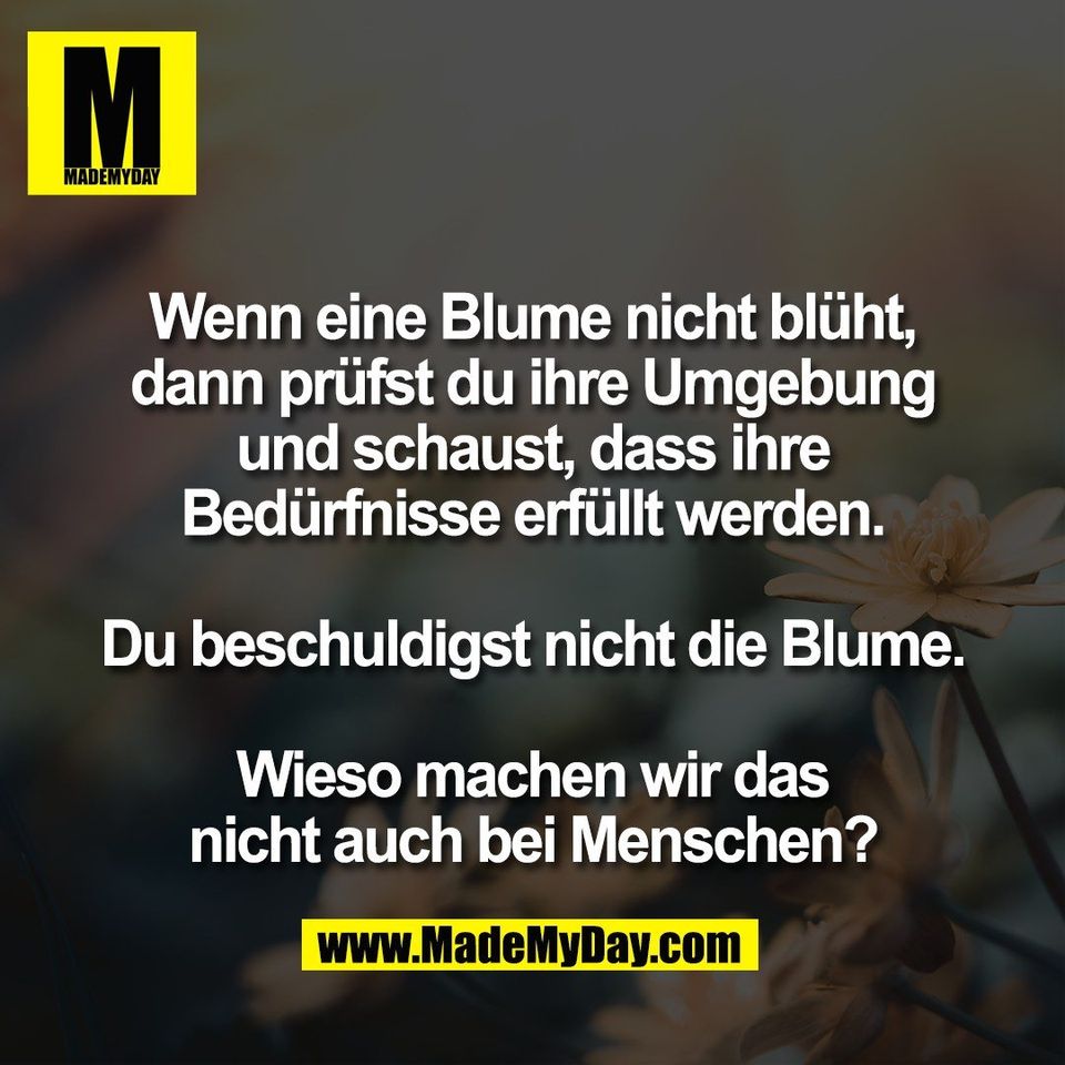 Wenn eine Blume nicht blüht,<br />
dann prüfst du ihre Umgebung<br />
und schaust, dass ihre<br />
Bedürfnisse erfüllt werden.<br />
<br />
Du beschuldigst nicht die Blume.<br />
<br />
Wieso machen wir das<br />
nicht auch bei Menschen?