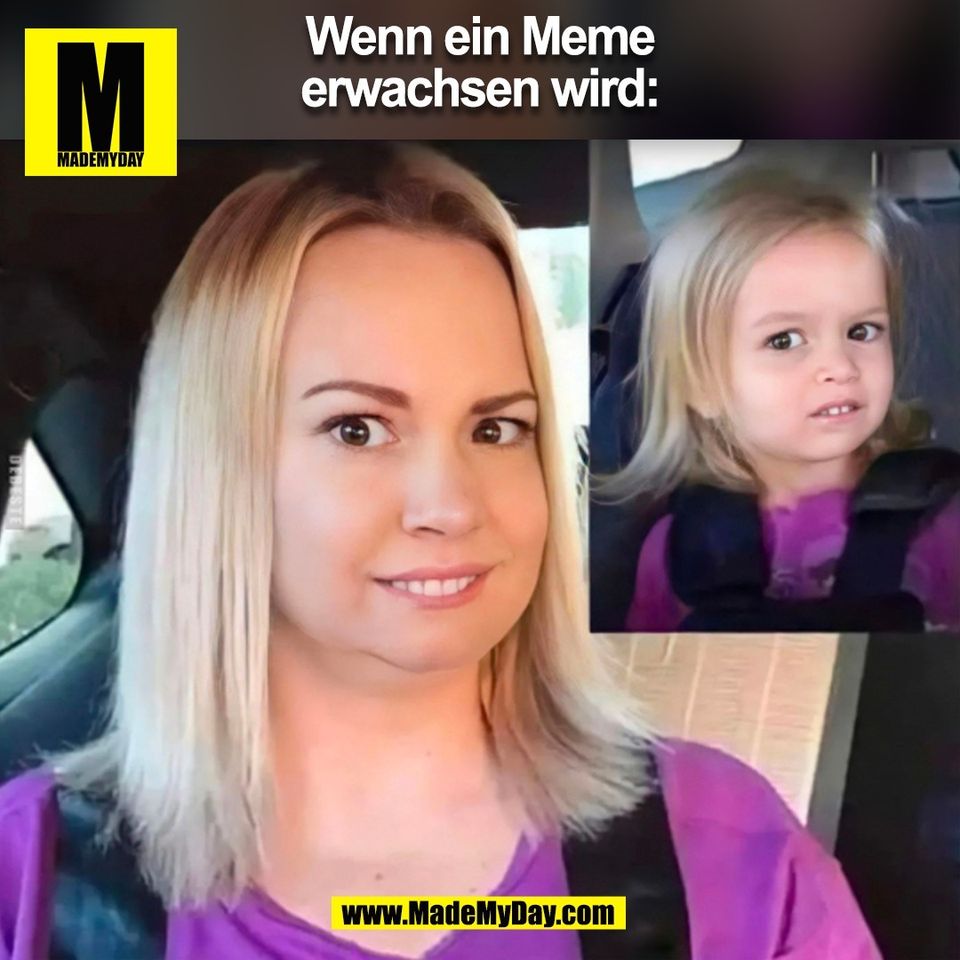 Wenn ein Meme<br />
erwachsen wird:<br />
(BILD)
