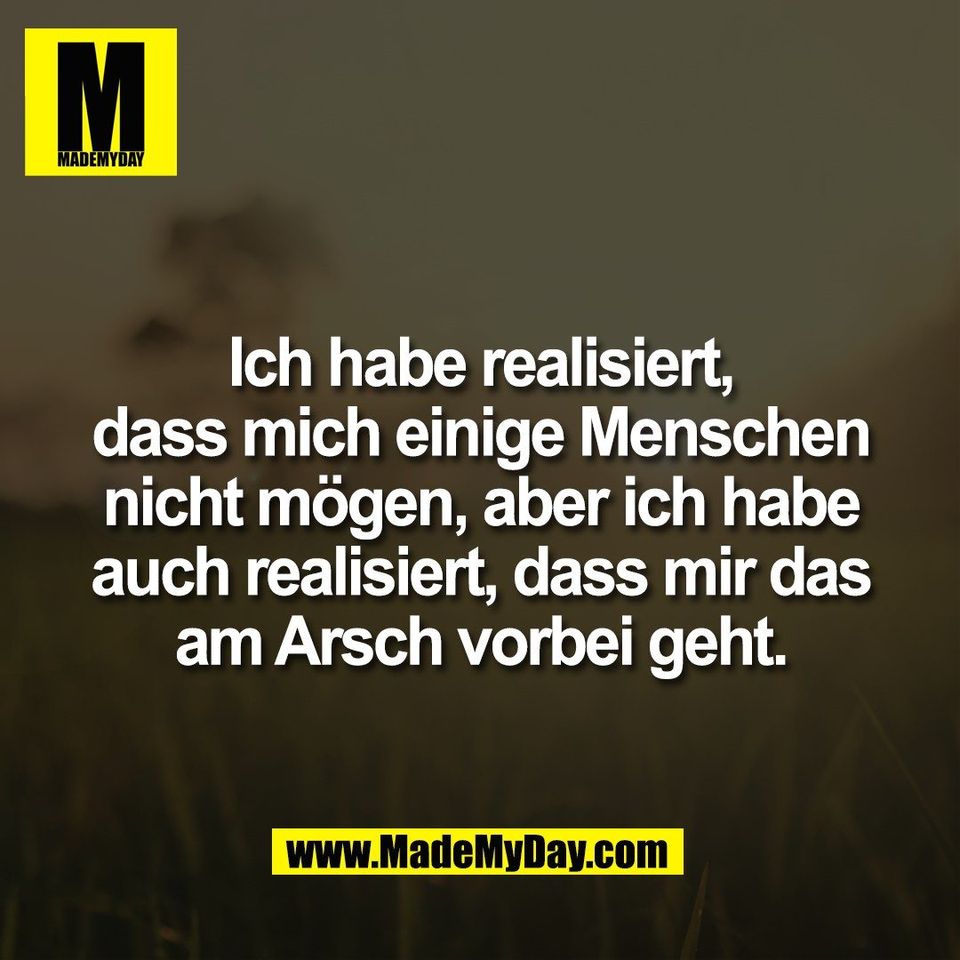 Ich habe realisiert,<br />
dass mich einige Menschen<br />
nicht mögen, aber ich habe<br />
auch realisiert, dass mir das<br />
am Arsch vorbei geht.