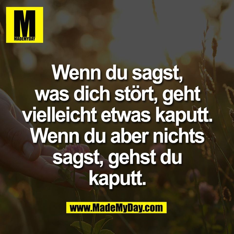 Wenn du sagst,<br />
was dich stört, geht<br />
vielleicht etwas kaputt.<br />
Wenn du aber nichts<br />
sagst, gehst du<br />
kaputt.