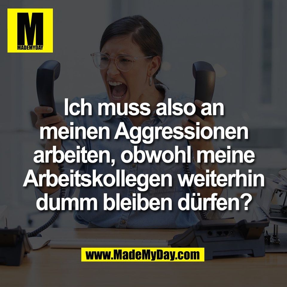 Ich muss also an<br />
meinen Aggressionen<br />
arbeiten, obwohl meine<br />
Arbeitskollegen weiterhin<br />
dumm bleiben dürfen?