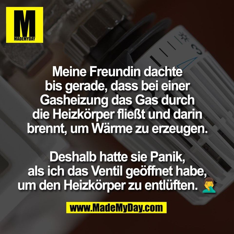 Meine Freundin dachte<br />
bis gerade, dass bei einer<br />
Gasheizung das Gas durch<br />
die Heizkörper fließt und darin<br />
brennt, um Wärme zu erzeugen.<br />
<br />
Deshalb hatte sie Panik,<br />
als ich das Ventil geöffnet habe,<br />
um den Heizkörper zu entlüften. 🤦‍♂️