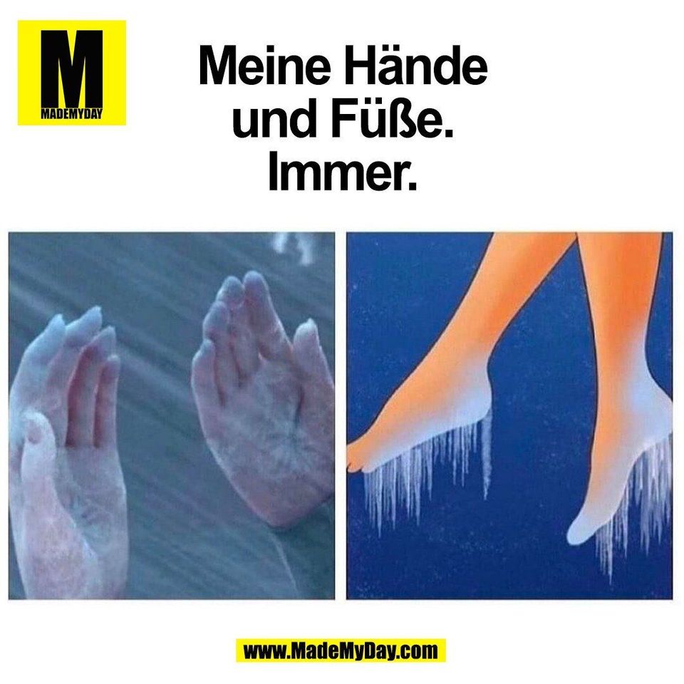 Meine Hände<br />
und Füße.<br />
Immer.<br />
(BILD)