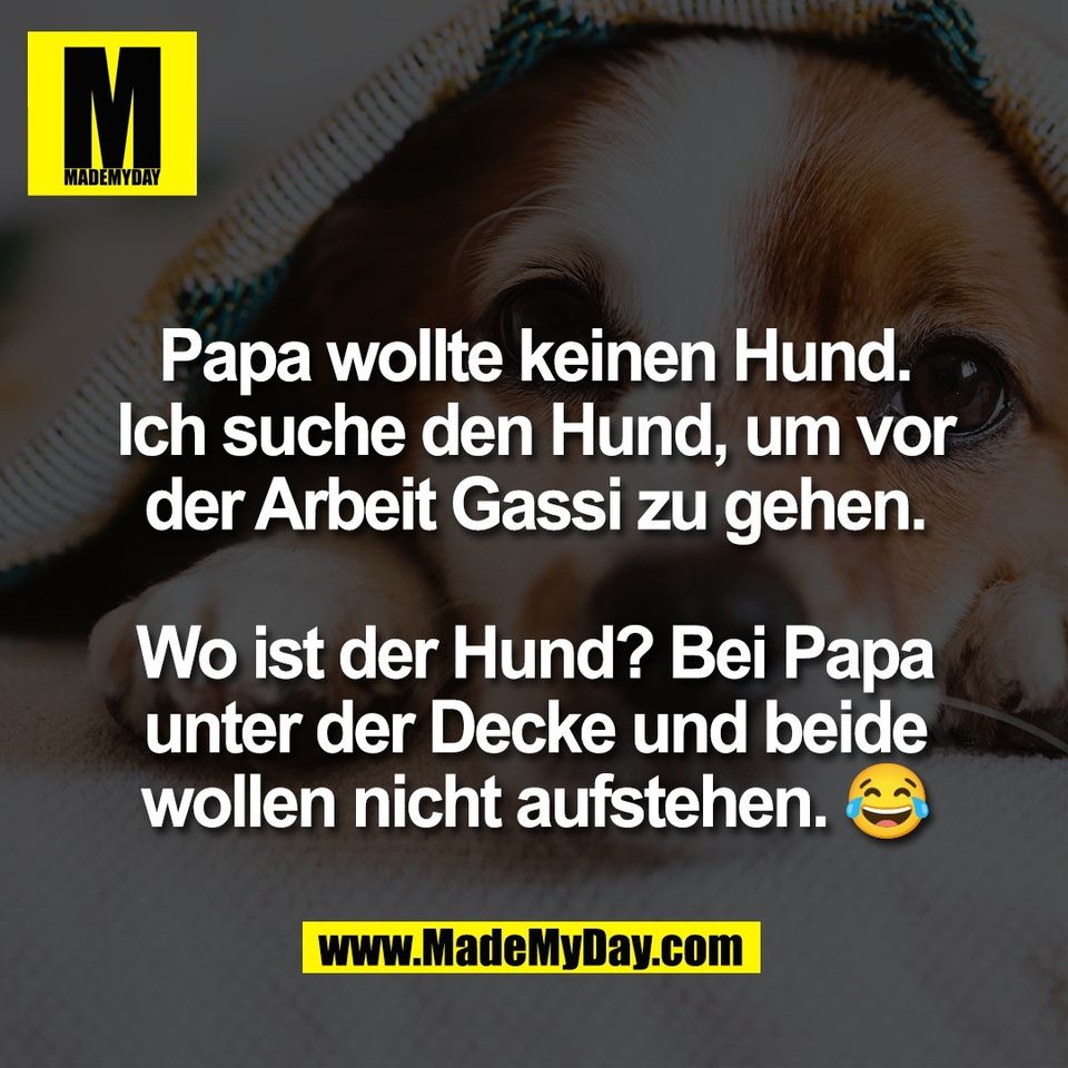 Papa wollte keinen Hund.<br />
Ich suche den Hund, um vor<br />
der Arbeit Gassi zu gehen.<br />
<br />
Wo ist der Hund? Bei Papa<br />
unter der Decke und beide<br />
wollen nicht aufstehen. 😂