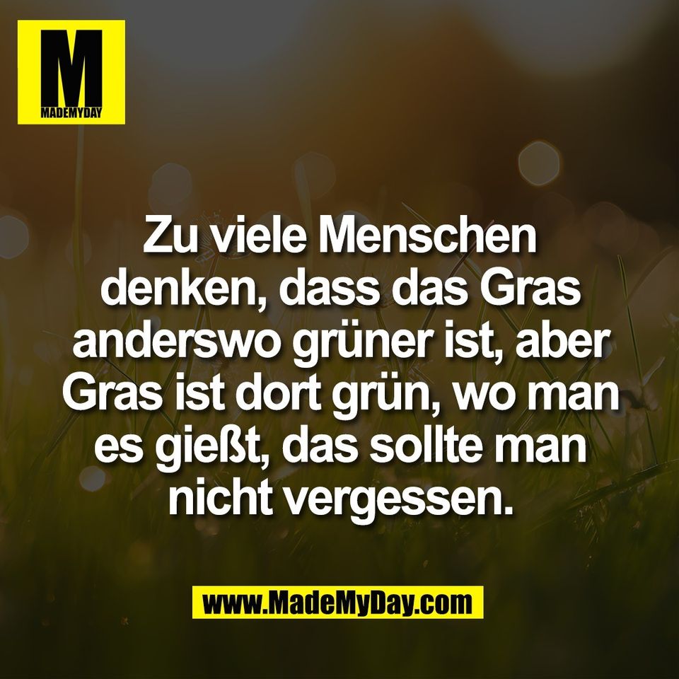 Zu viele Menschen<br />
denken, dass das Gras<br />
anderswo grüner ist, aber<br />
Gras ist dort grün, wo man<br />
es gießt, das sollte man<br />
nicht vergessen.