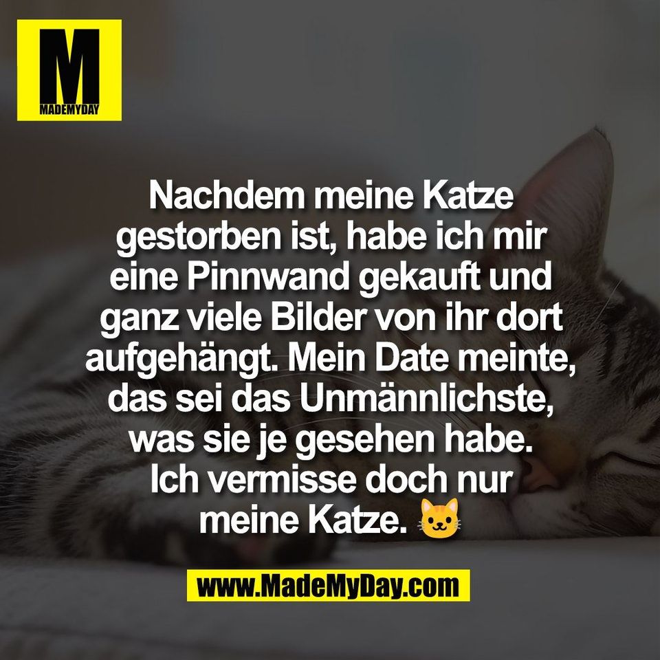 Nachdem meine Katze<br />
gestorben ist, habe ich mir<br />
eine Pinnwand gekauft und<br />
ganz viele Bilder von ihr dort<br />
aufgehängt. Mein Date meinte,<br />
das sei das Unmännlichste,<br />
was sie je gesehen habe.<br />
Ich vermisse doch nur<br />
meine Katze. 🐱