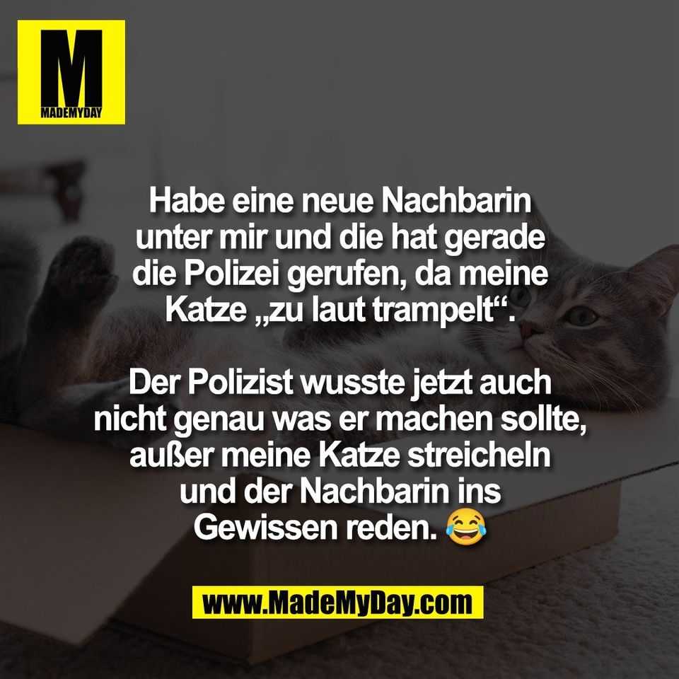Habe eine neue Nachbarin<br />
unter mir und die hat gerade<br />
die Polizei gerufen, da meine<br />
Katze „zu laut trampelt“.<br />
<br />
Der Polizist wusste jetzt auch<br />
nicht genau was er machen sollte,<br />
außer meine Katze streicheln<br />
und der Nachbarin ins<br />
Gewissen reden. 😂
