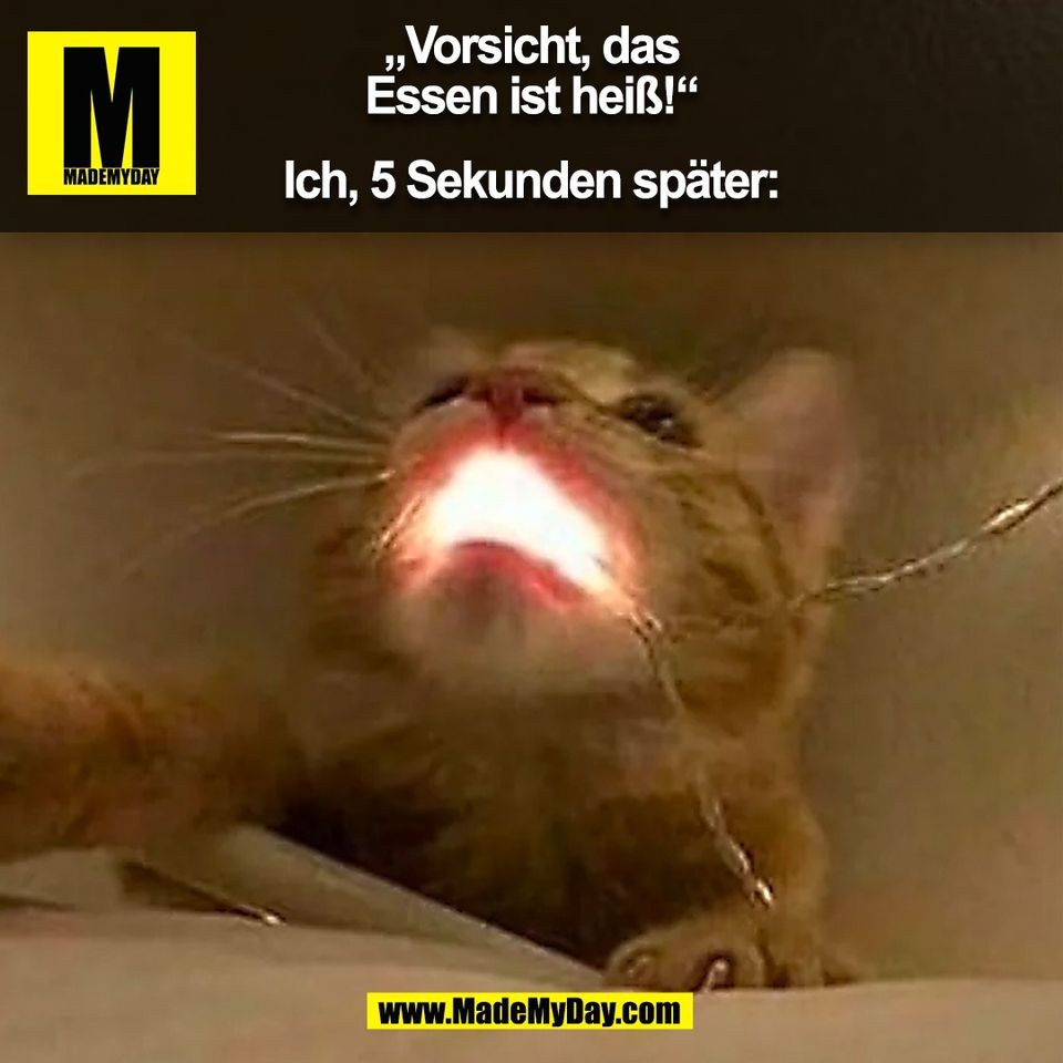 „Vorsicht, das<br />
Essen ist heiß!“<br />
<br />
Ich, 5 Sekunden später:<br />
(BILD)