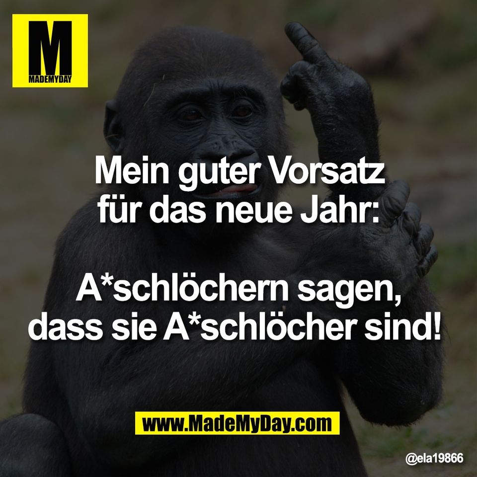 Mein guter Vorsatz<br />
für das neue Jahr:<br />
<br />
A*schlöchern sagen,<br />
dass sie A*schlöcher sind!