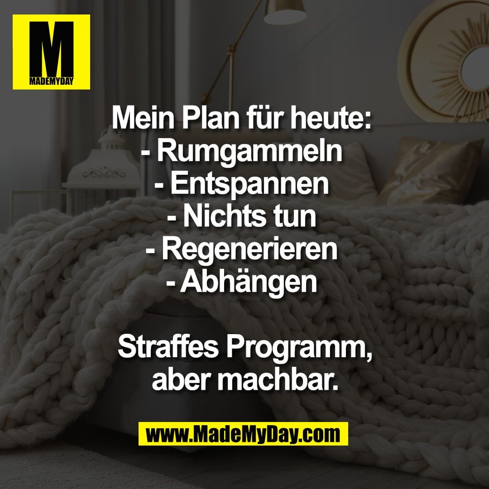 Mein Plan für heute: <br />
- Rumgammeln <br />
- Entspannen <br />
- Nichts tun <br />
- Regenerieren <br />
- Abhängen <br />
<br />
Straffes Programm,<br />
aber machbar.