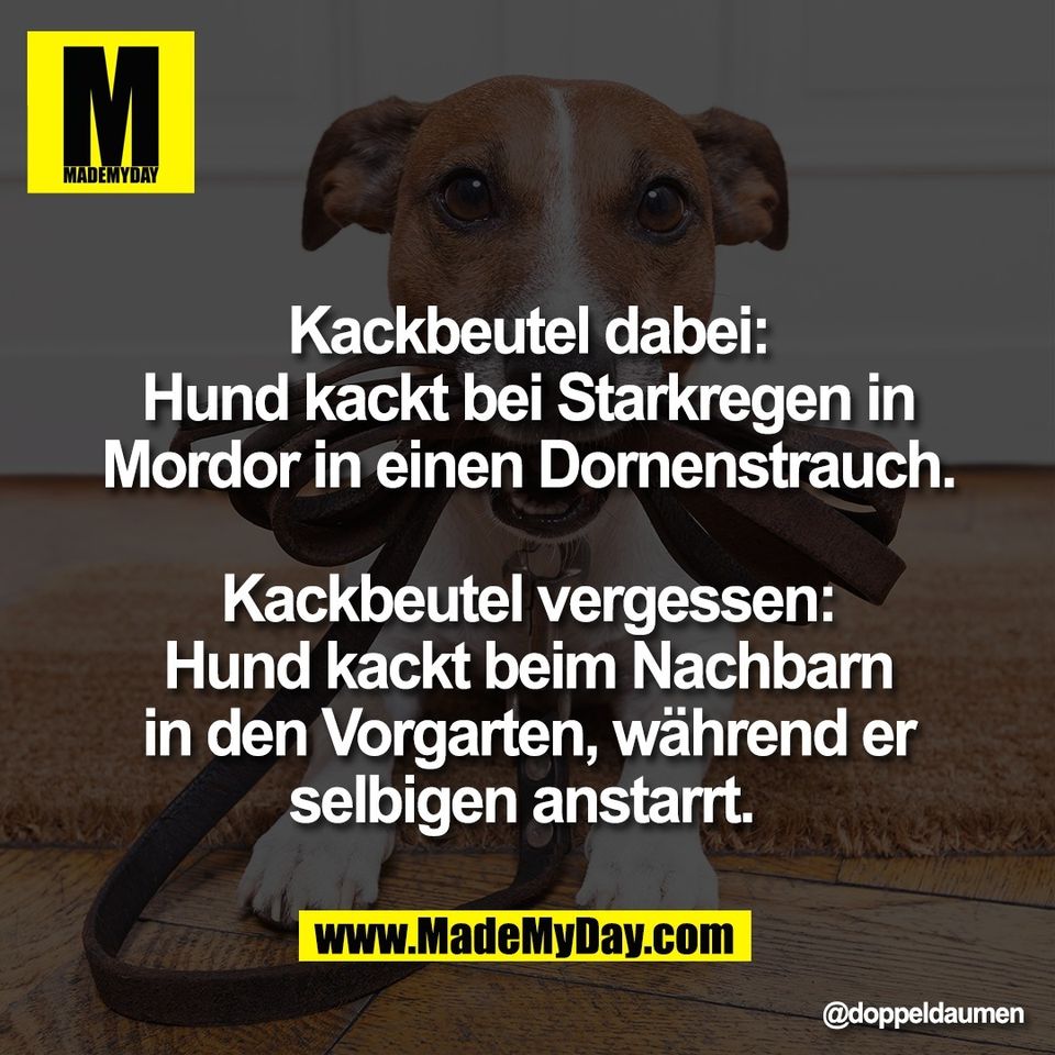 Kackbeutel dabei:<br />
Hund kackt bei Starkregen in<br />
Mordor in einen Dornenstrauch.<br />
<br />
Kackbeutel vergessen:<br />
Hund kackt beim Nachbarn<br />
in den Vorgarten, während er<br />
selbigen anstarrt.