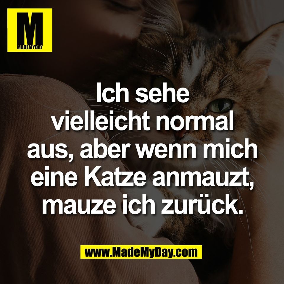 Ich sehe<br />
vielleicht normal<br />
aus, aber wenn mich<br />
eine Katze anmauzt,<br />
mauze ich zurück.