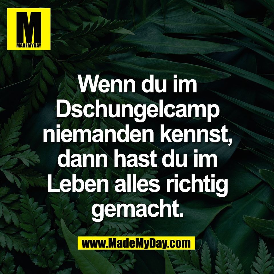 Wenn du im<br />
Dschungelcamp<br />
niemanden kennst,<br />
dann hast du im<br />
Leben alles richtig<br />
gemacht.