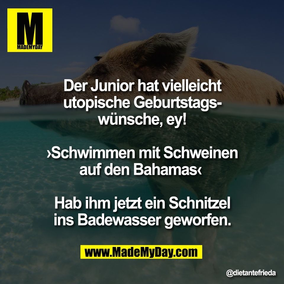 Der Junior hat vielleicht<br />
utopische Geburtstags-<br />
wünsche, ey!<br />
<br />
›Schwimmen mit Schweinen<br />
auf den Bahamas‹ <br />
<br />
Hab ihm jetzt ein Schnitzel<br />
ins Badewasser geworfen.