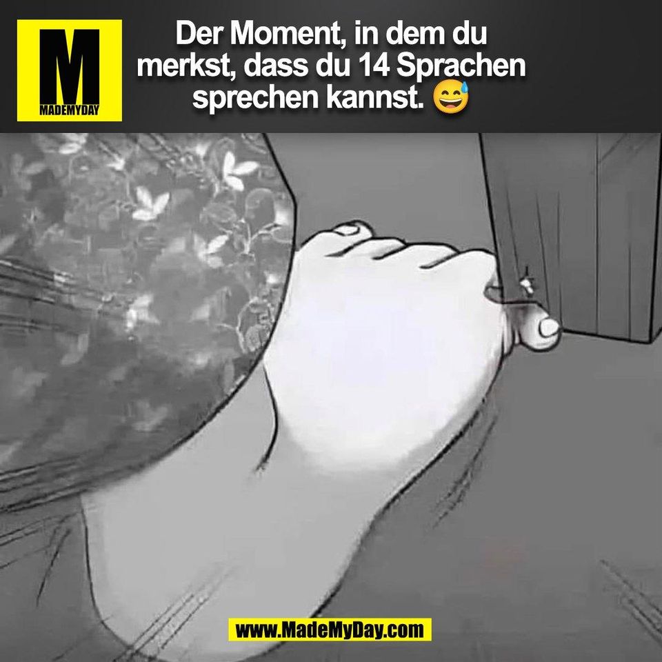 Der Moment, in dem du<br />
merkst, dass du 14 Sprachen<br />
sprechen kannst. 😅<br />
(BILD)