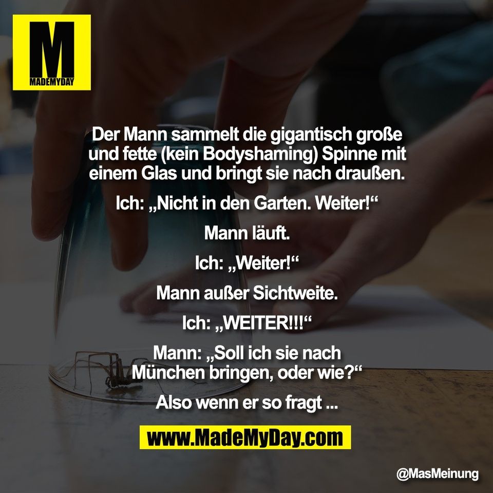 Der Mann sammelt die gigantisch große<br />
und fette (kein Bodyshaming) Spinne mit<br />
einem Glas und bringt sie nach draußen.<br />
<br />
Ich: „Nicht in den Garten. Weiter!“<br />
<br />
Mann läuft.<br />
<br />
Ich: „Weiter!“<br />
<br />
Mann außer Sichtweite.<br />
<br />
Ich: „WEITER!!!“<br />
<br />
Mann: „Soll ich sie nach<br />
München bringen, oder wie?“<br />
<br />
Also wenn er so fragt ...