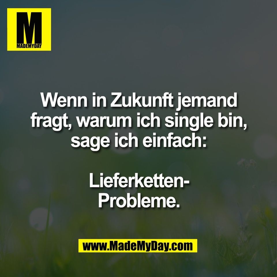 Wenn in Zukunft jemand<br />
fragt, warum ich single bin,<br />
sage ich einfach:<br />
<br />
Lieferketten-<br />
Probleme.