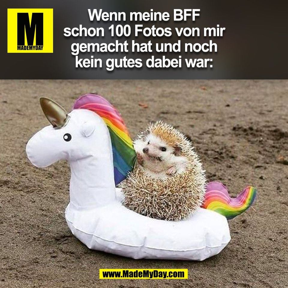 Wenn meine BFF<br />
schon 100 Fotos von mir<br />
gemacht hat und noch<br />
kein gutes dabei war:<br />
(BILD)