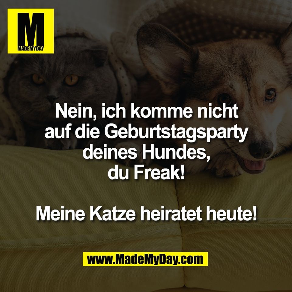 Nein, ich komme nicht<br />
auf die Geburtstagsparty<br />
deines Hundes,<br />
du Freak!<br />
<br />
Meine Katze heiratet heute!