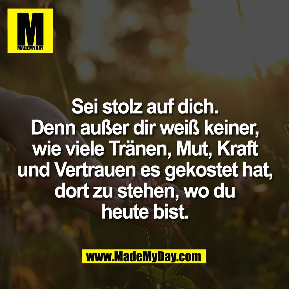 Sei stolz auf dich.<br />
Denn außer dir weiß keiner,<br />
wie viele Tränen, Mut, Kraft<br />
und Vertrauen es gekostet hat,<br />
dort zu stehen, wo du<br />
heute bist.