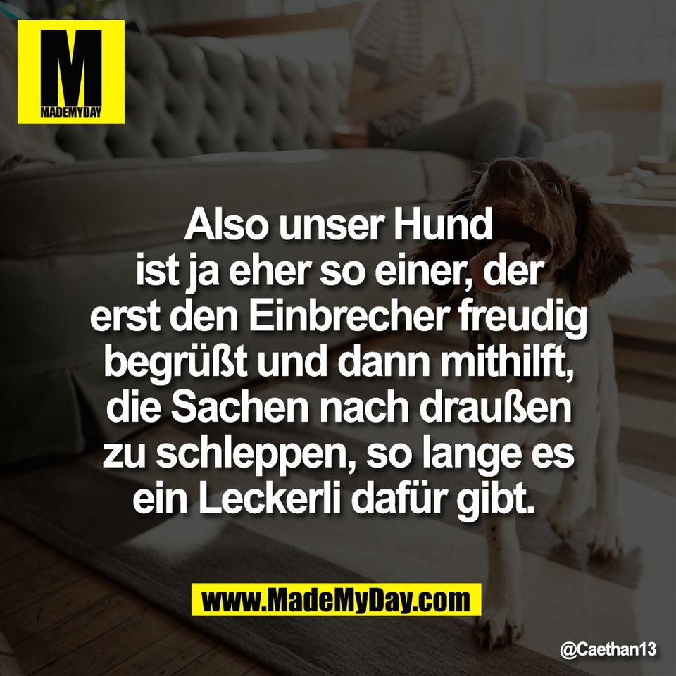 Also unser Hund<br />
ist ja eher so einer, der<br />
erst den Einbrecher freudig<br />
begrüßt und dann mithilft,<br />
die Sachen nach draußen<br />
zu schleppen, so lange es<br />
ein Leckerli dafür gibt.