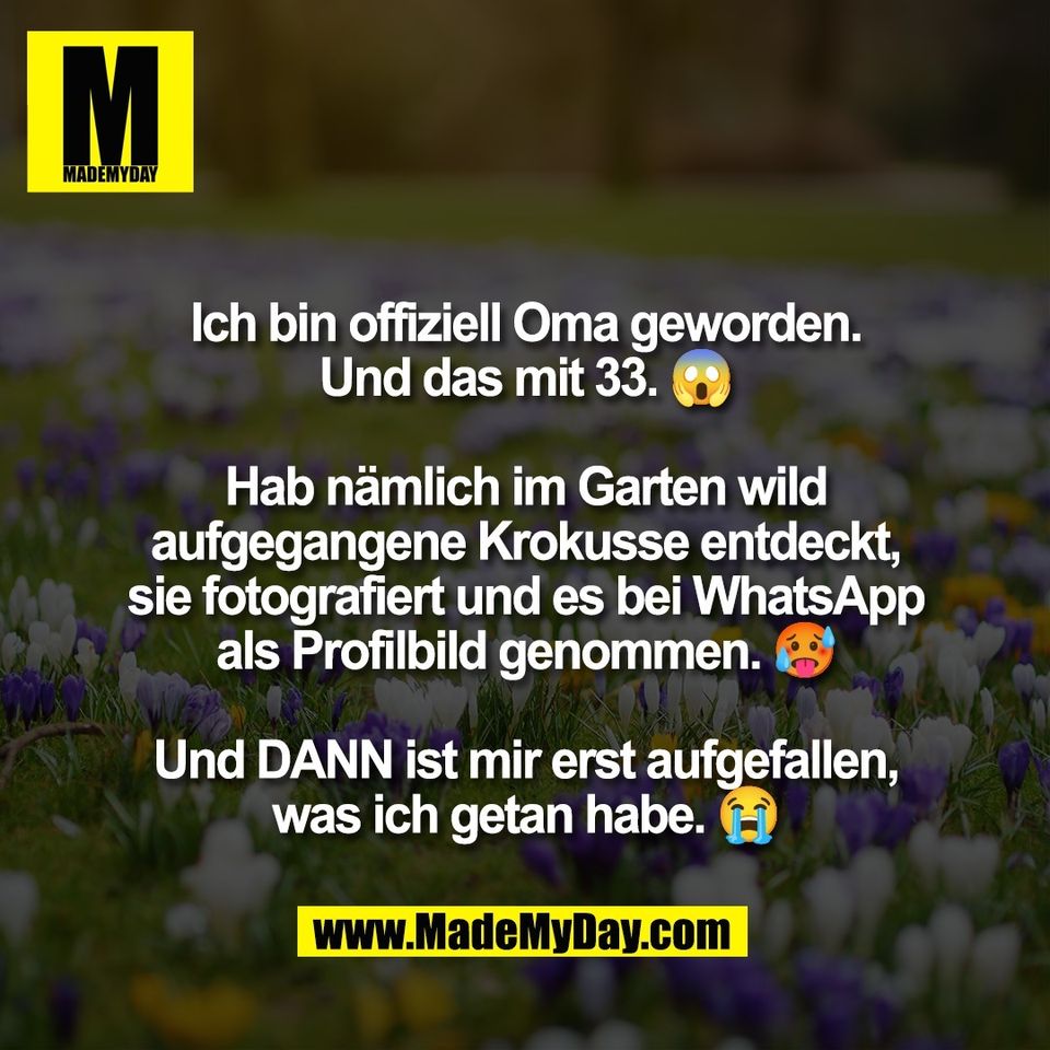 Ich bin offiziell Oma geworden.<br />
Und das mit 33. 😱<br />
<br />
Hab nämlich im Garten wild<br />
aufgegangene Krokusse entdeckt,<br />
sie fotografiert und es bei WhatsApp<br />
als Profilbild genommen. 🥵<br />
<br />
Und DANN ist mir erst aufgefallen,<br />
was ich getan habe. 😭