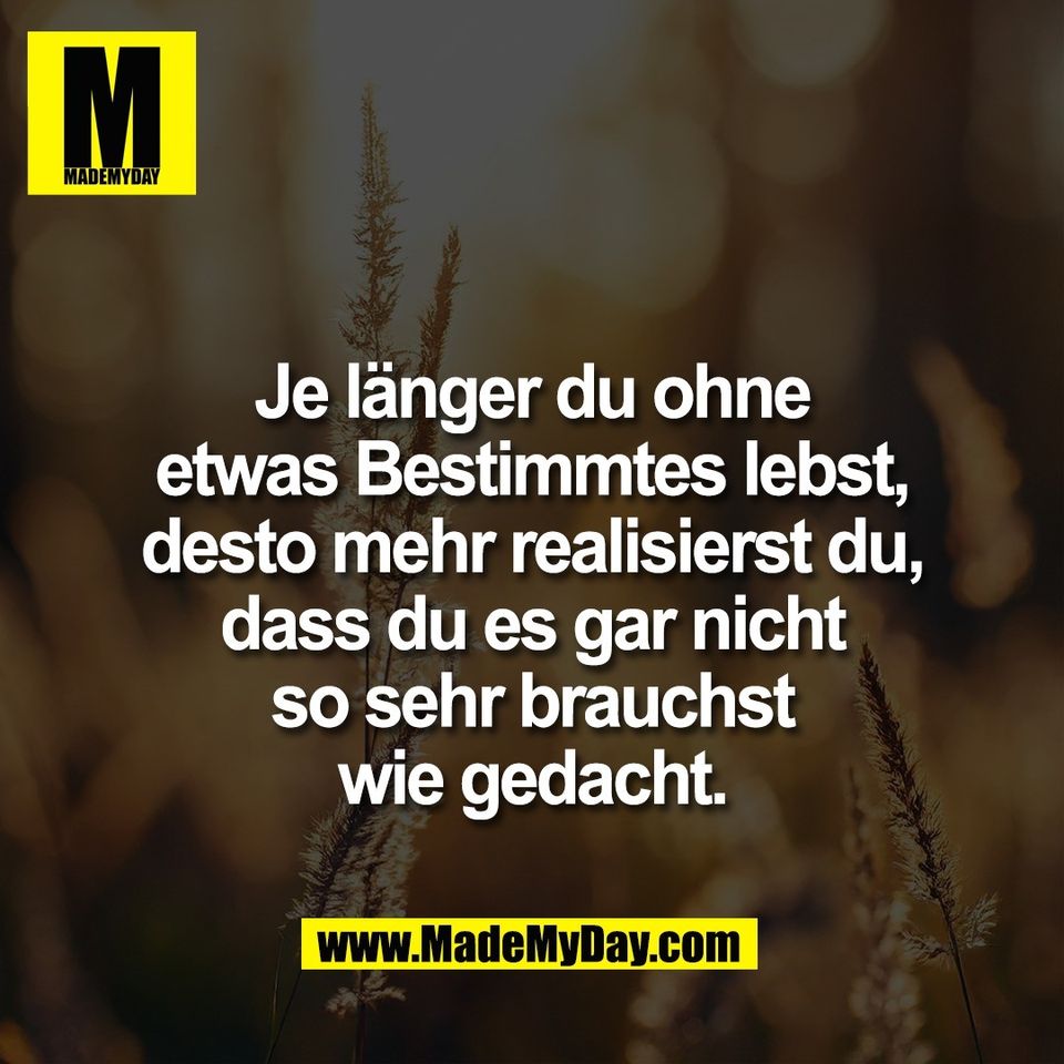 Je länger du ohne<br />
etwas Bestimmtes lebst,<br />
desto mehr realisierst du,<br />
dass du es gar nicht<br />
so sehr brauchst<br />
wie gedacht.