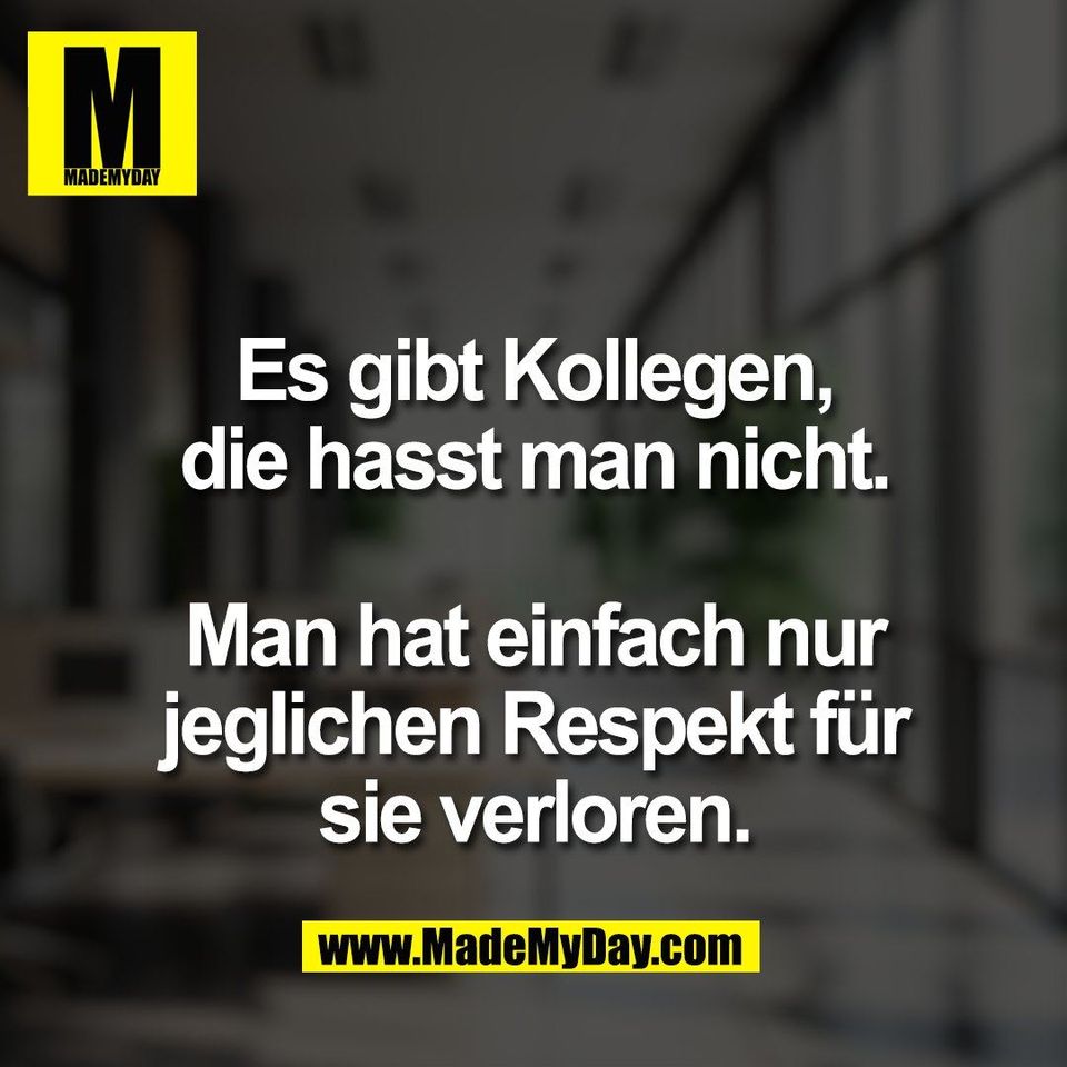 Es gibt Kollegen,<br />
die hasst man nicht.<br />
<br />
Man hat einfach nur<br />
jeglichen Respekt für<br />
sie verloren.