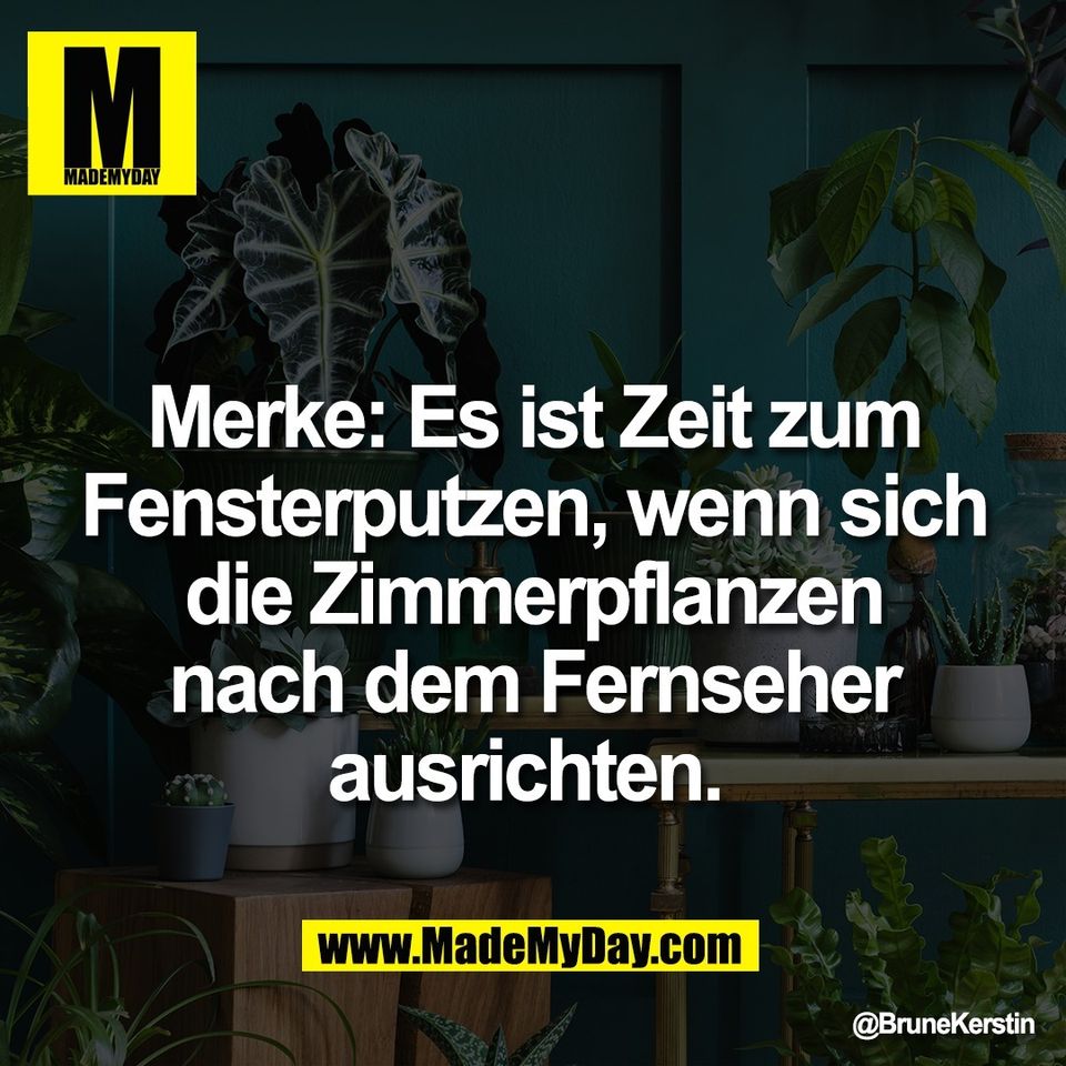Merke: Es ist Zeit zum<br />
Fensterputzen, wenn sich<br />
die Zimmerpflanzen<br />
nach dem Fernseher<br />
ausrichten.