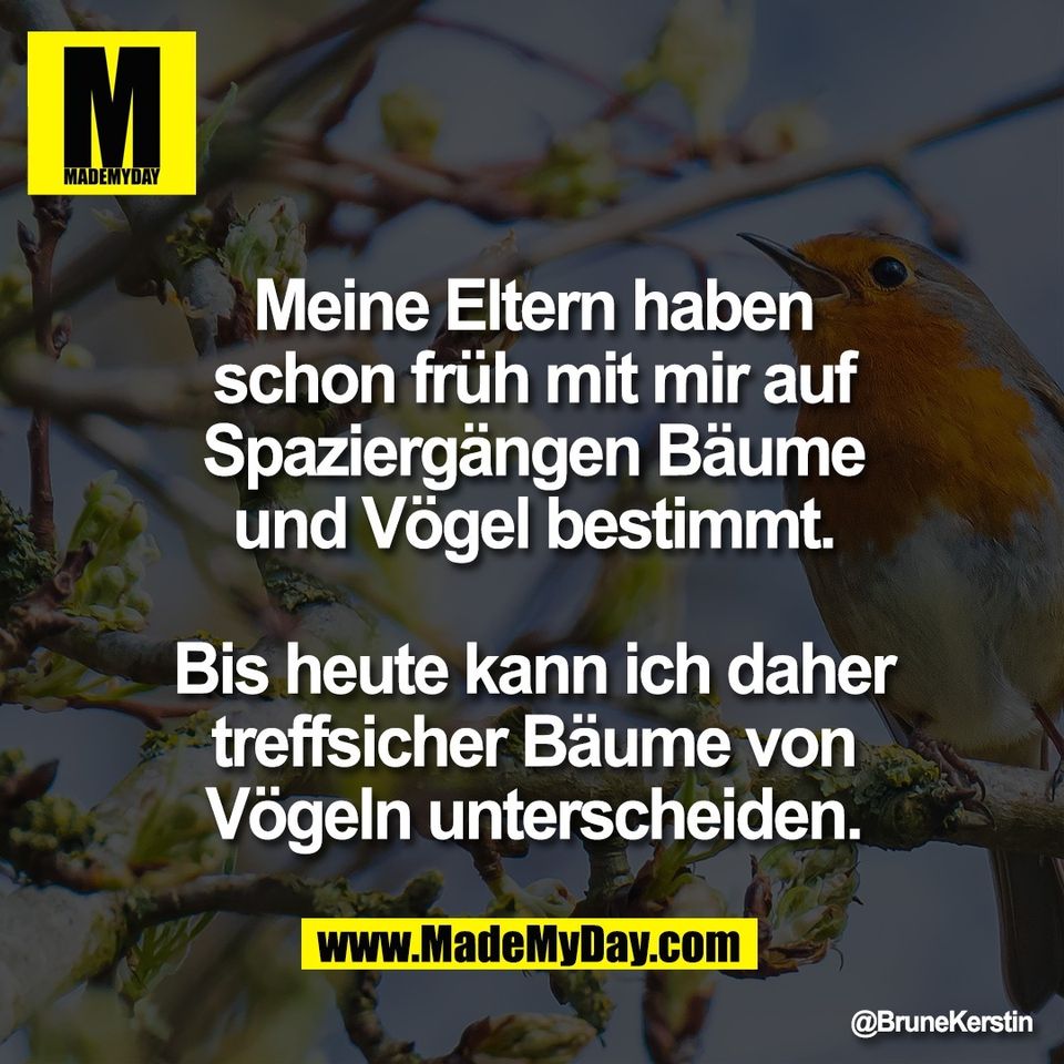 Meine Eltern haben<br />
schon früh mit mir auf<br />
Spaziergängen Bäume<br />
und Vögel bestimmt.<br />
<br />
Bis heute kann ich daher<br />
treffsicher Bäume von<br />
Vögeln unterscheiden.