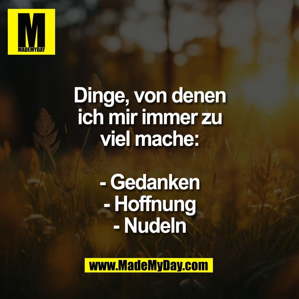 Dinge, von denen<br />
ich mir immer zu<br />
viel mache:<br />
<br />
- Gedanken<br />
- Hoffnung<br />
- Nudeln