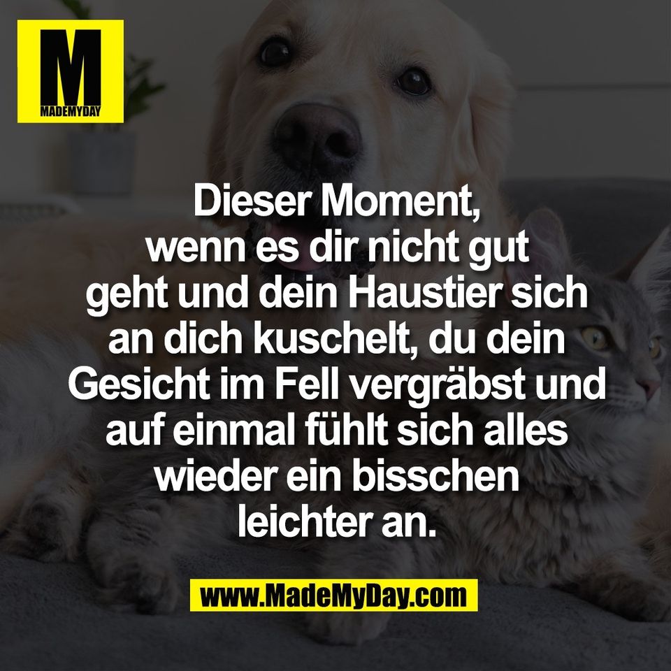 Dieser Moment,<br />
wenn es dir nicht gut<br />
geht und dein Haustier sich<br />
an dich kuschelt, du dein<br />
Gesicht im Fell vergräbst und<br />
auf einmal fühlt sich alles<br />
wieder ein bisschen<br />
leichter an.