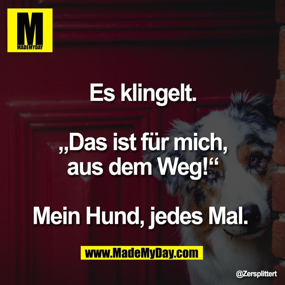 Es klingelt.<br />
<br />
„Das ist für mich,<br />
aus dem Weg!“<br />
<br />
Mein Hund, jedes Mal.