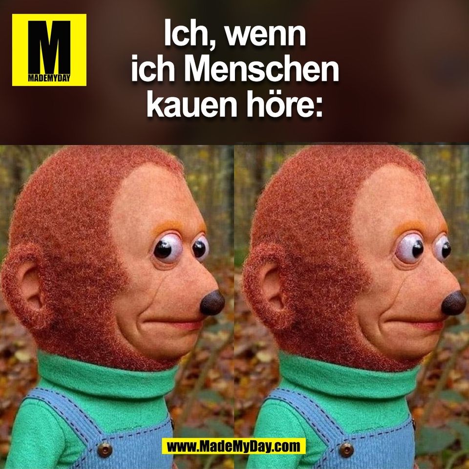 Ich, wenn<br />
ich Menschen<br />
kauen höre:<br />
(BILD)
