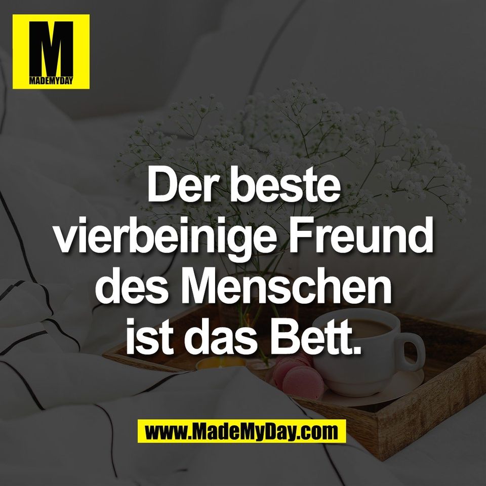 Der beste<br />
vierbeinige Freund<br />
des Menschen<br />
ist das Bett.