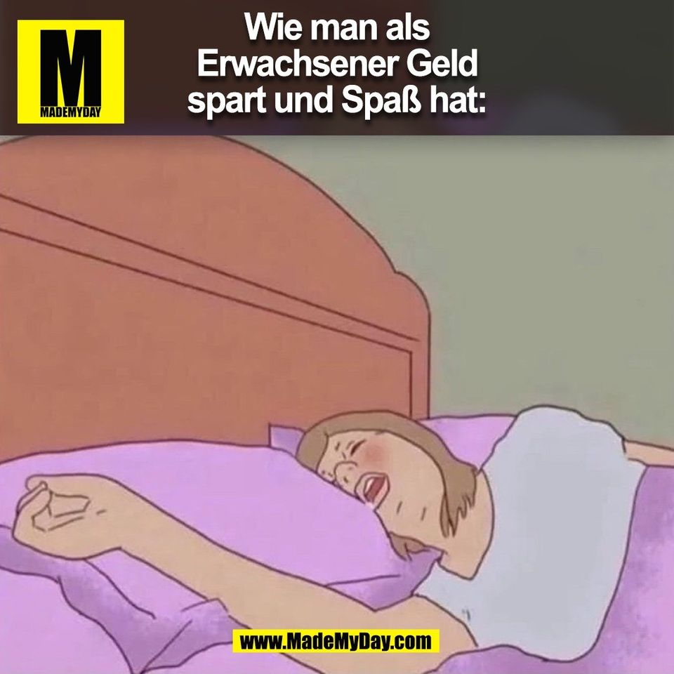 Wie man als <br />
Erwachsener Geld <br />
spart und Spaß hat:<br />
(BILD)