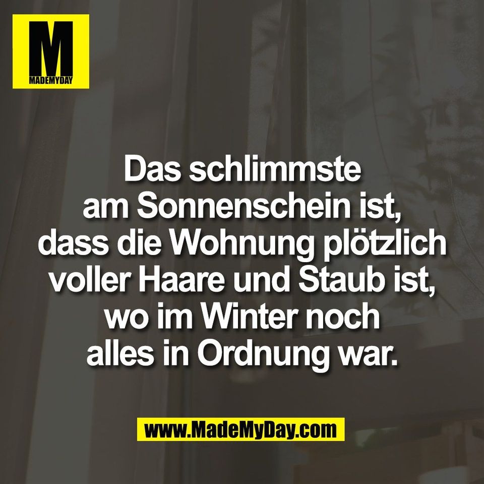 Das schlimmste<br />
am Sonnenschein ist,<br />
dass die Wohnung plötzlich<br />
voller Haare und Staub ist,<br />
wo im Winter noch<br />
alles in Ordnung war.