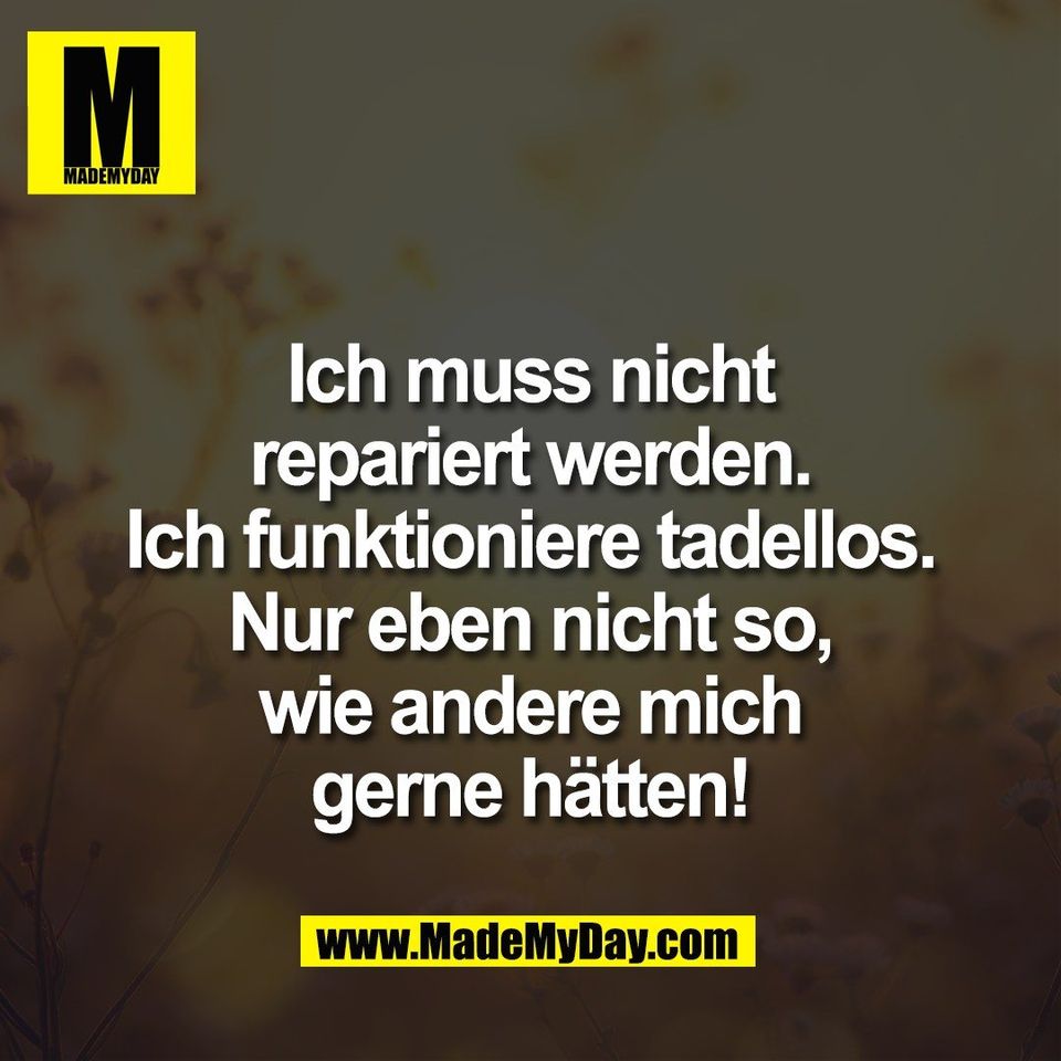 Ich muss nicht<br />
repariert werden.<br />
Ich funktioniere tadellos.<br />
Nur eben nicht so,<br />
wie andere mich<br />
gerne hätten!
