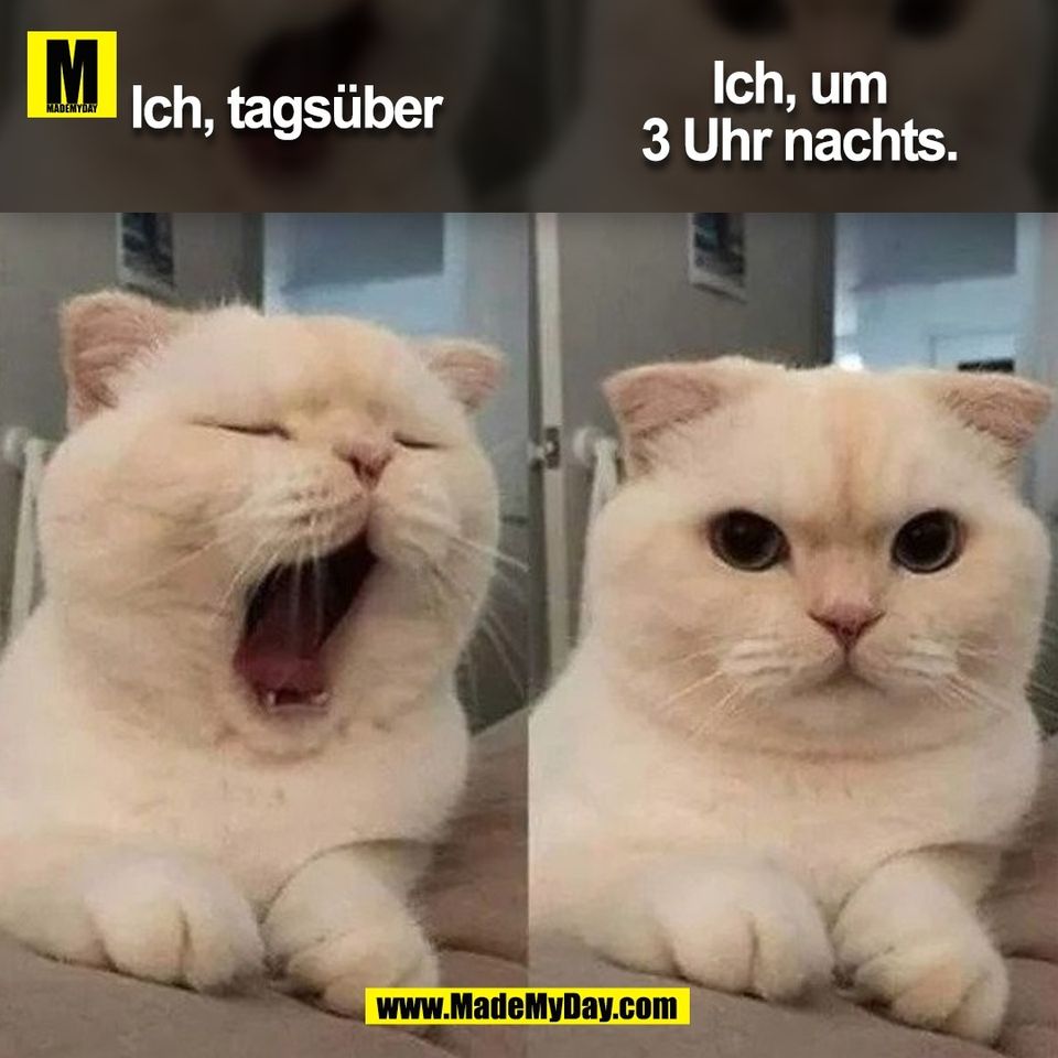 Ich, tagsüber<br />
Ich, um<br />
3 Uhr nachts.<br />
(BILD)