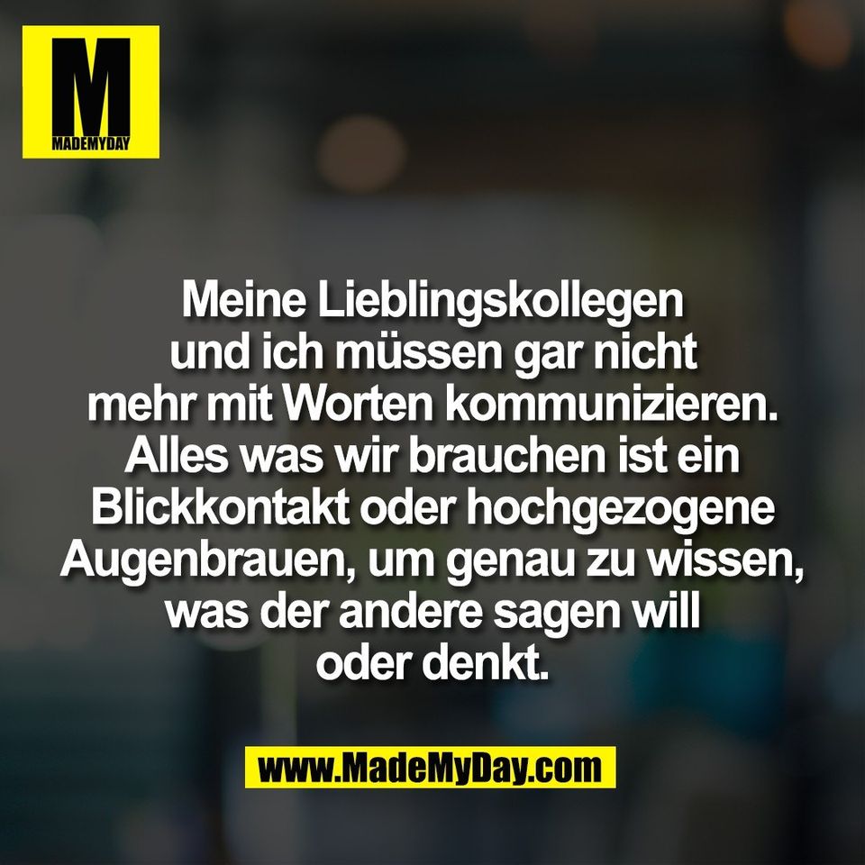 Meine Lieblingskollegen<br />
und ich müssen gar nicht<br />
mehr mit Worten kommunizieren.<br />
Alles was wir brauchen ist ein<br />
Blickkontakt oder hochgezogene<br />
Augenbrauen, um genau zu wissen,<br />
was der andere sagen will<br />
oder denkt.