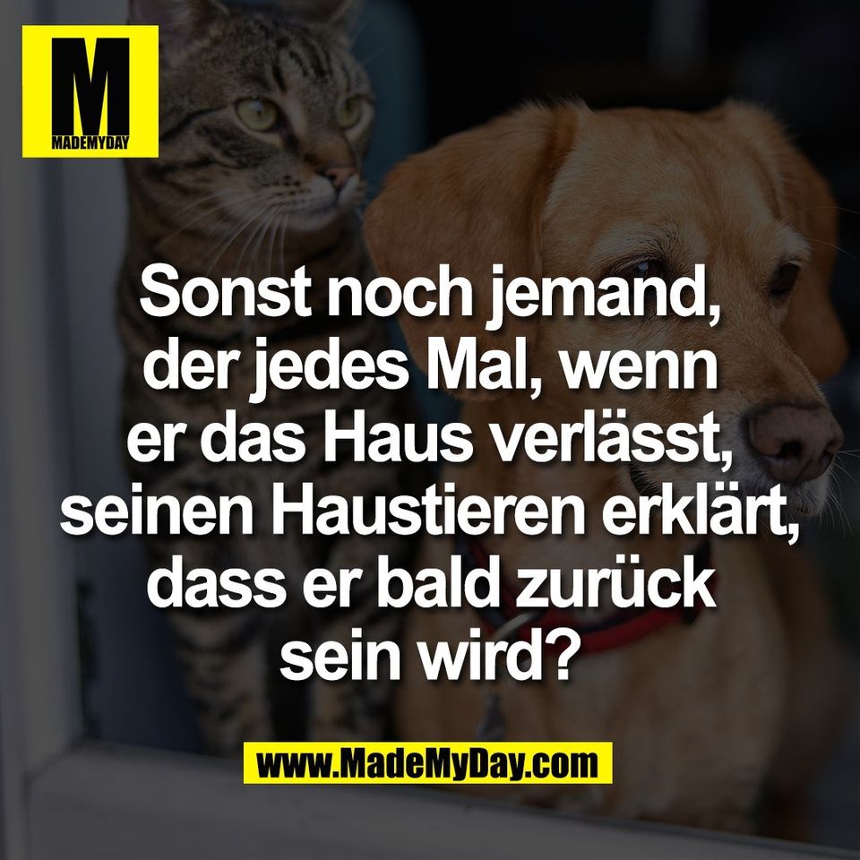Sonst noch jemand,<br />
der jedes Mal, wenn<br />
er das Haus verlässt,<br />
seinen Haustieren erklärt,<br />
dass er bald zurück<br />
sein wird?