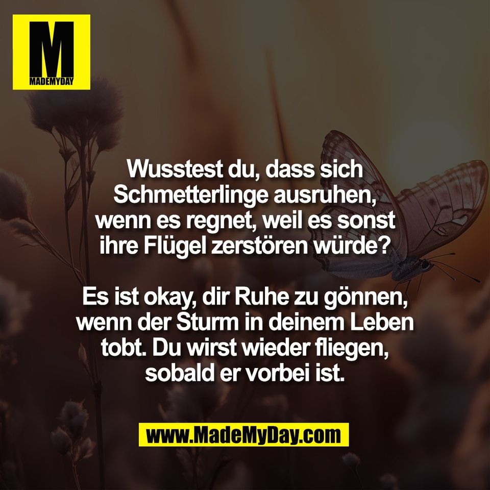 Wusstest du, dass sich<br />
Schmetterlinge ausruhen,<br />
wenn es regnet, weil es sonst<br />
ihre Flügel zerstören würde?<br />
<br />
Es ist okay, dir Ruhe zu gönnen,<br />
wenn der Sturm in deinem Leben<br />
tobt. Du wirst wieder fliegen,<br />
sobald er vorbei ist.