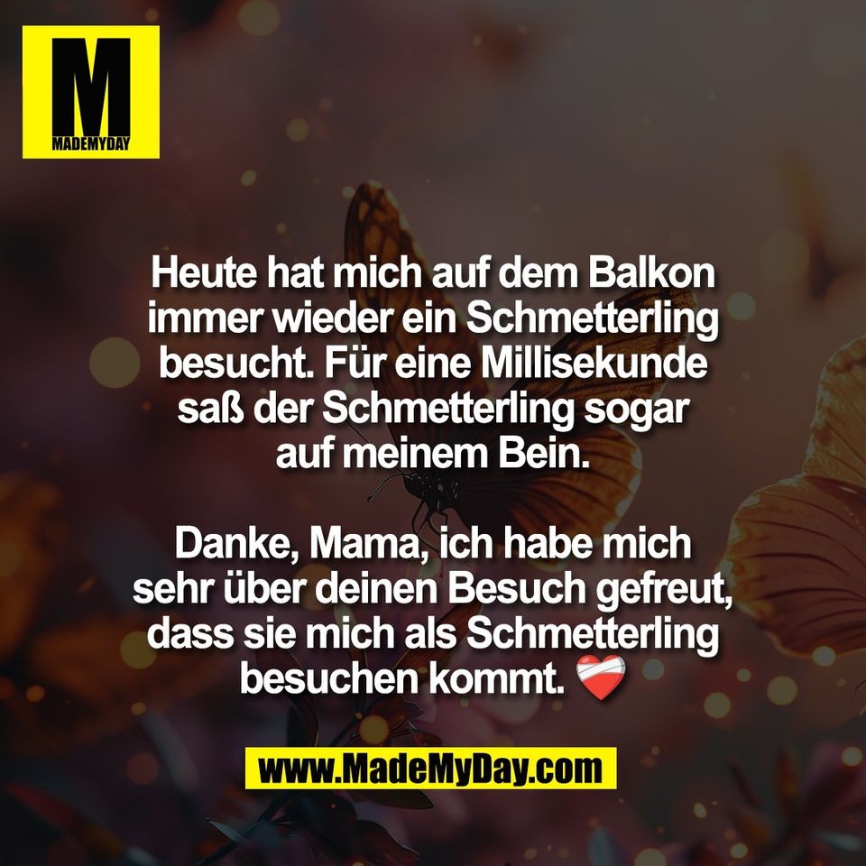 Heute hat mich auf dem Balkon<br />
immer wieder ein Schmetterling<br />
besucht. Für eine Millisekunde<br />
saß der Schmetterling sogar<br />
auf meinem Bein.<br />
<br />
Danke, Mama, ich habe mich<br />
sehr über deinen Besuch gefreut,<br />
dass sie mich als Schmetterling<br />
besuchen kommt. ❤️‍🩹
