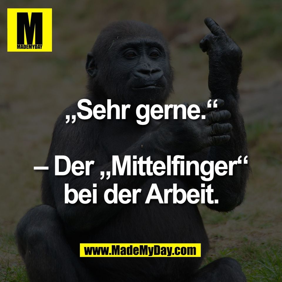 „Sehr gerne.“<br />
<br />
– Der „Mittelfinger“<br />
bei der Arbeit.