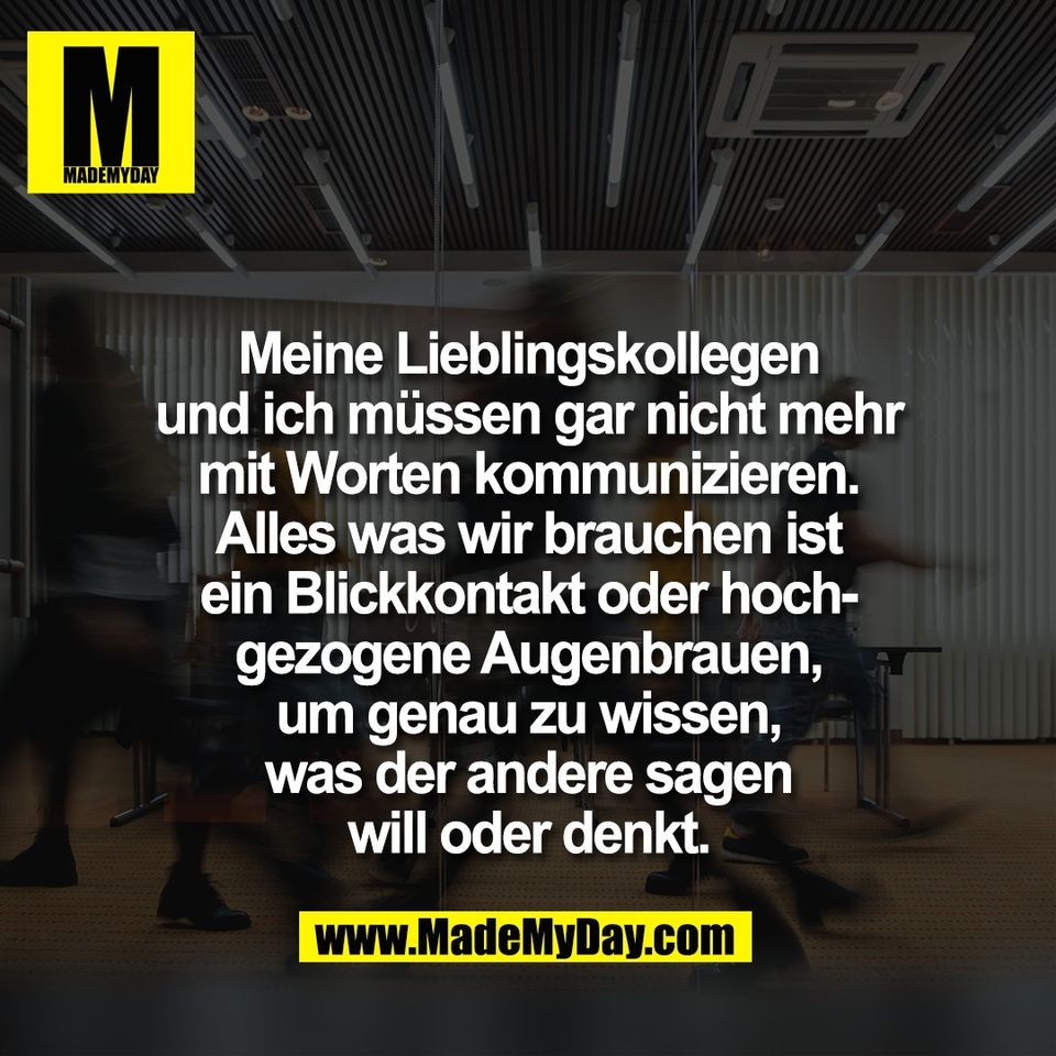Meine Lieblingskollegen<br />
und ich müssen gar nicht mehr<br />
mit Worten kommunizieren.<br />
Alles was wir brauchen ist<br />
ein Blickkontakt oder hoch-<br />
gezogene Augenbrauen,<br />
um genau zu wissen,<br />
was der andere sagen<br />
will oder denkt.