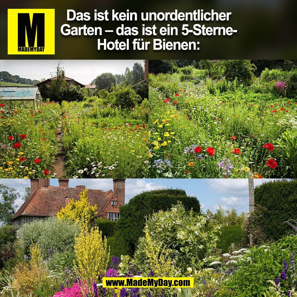 Das ist kein unordentlicher<br />
Garten – das ist ein 5-Sterne-<br />
Hotel für Bienen:<br />
(BILD)