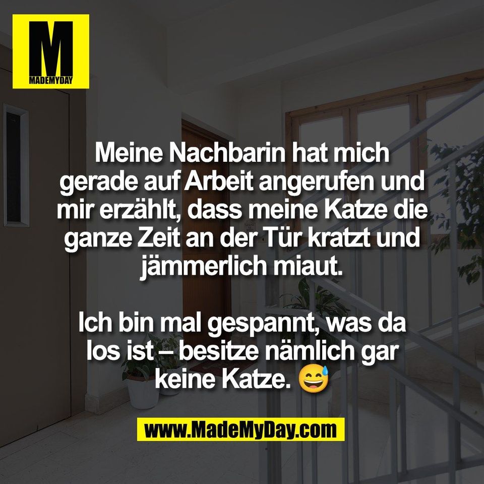 #mmd #mademyday